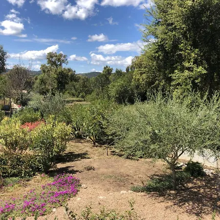 Belle Avec Piscine Chauffee Sur Un Magnifique Jardin Arboree Dans Le Maquis