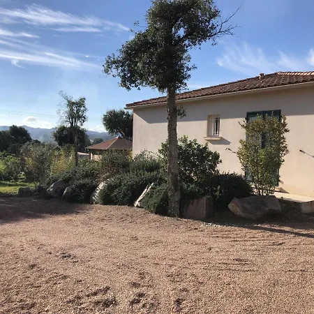 Belle Avec Piscine Chauffee Sur Un Magnifique Jardin Arboree Dans Le Maquis Conca