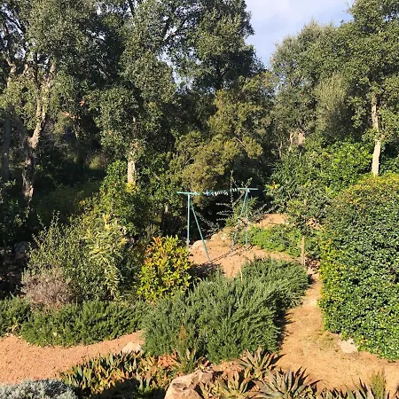 Belle Avec Piscine Chauffee Sur Un Magnifique Jardin Arboree Dans Le Maquis Villa *